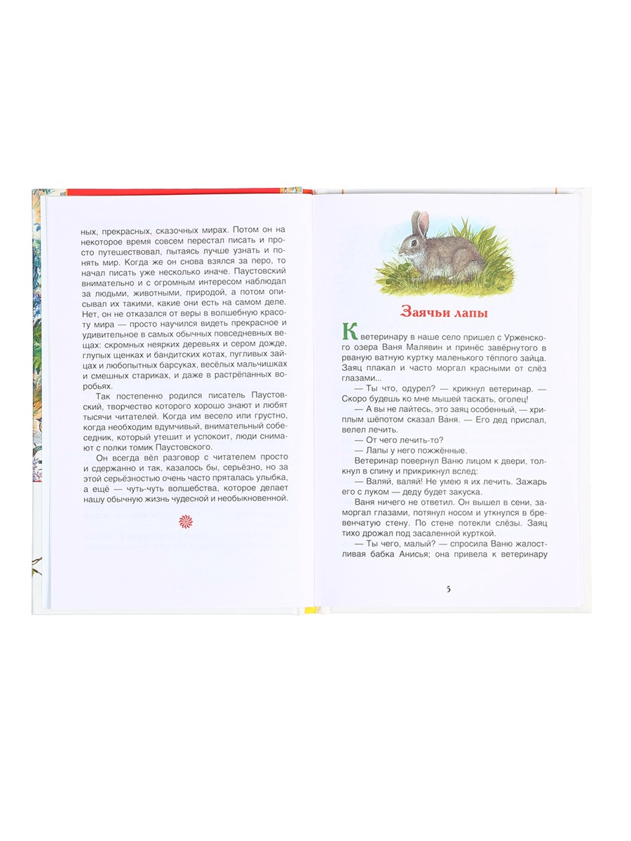 Рассказы и сказки Росмэн ВЧ Паустовский К Г для детей - фото 12
