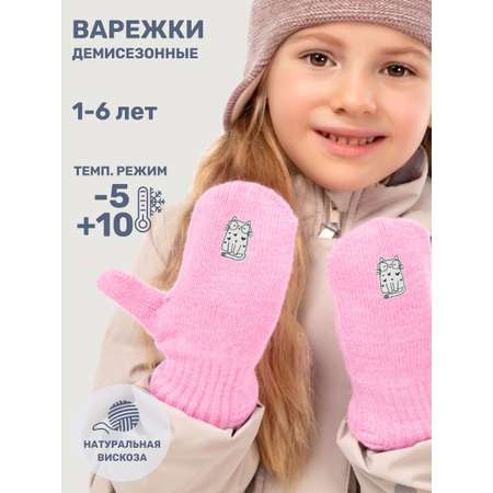 Варежки NIKASTYLE
