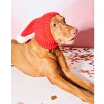 Шапка-шлем для собак и кошек Зоозавр