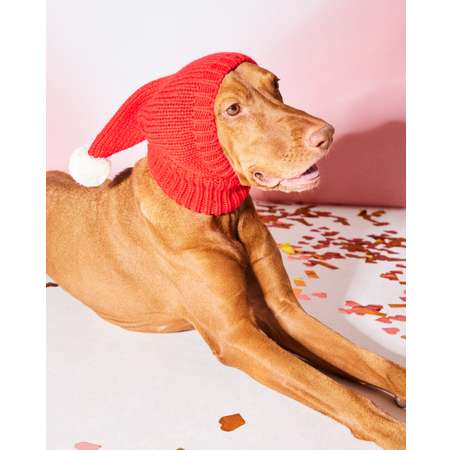 Шапка-шлем для собак и кошек Зоозавр