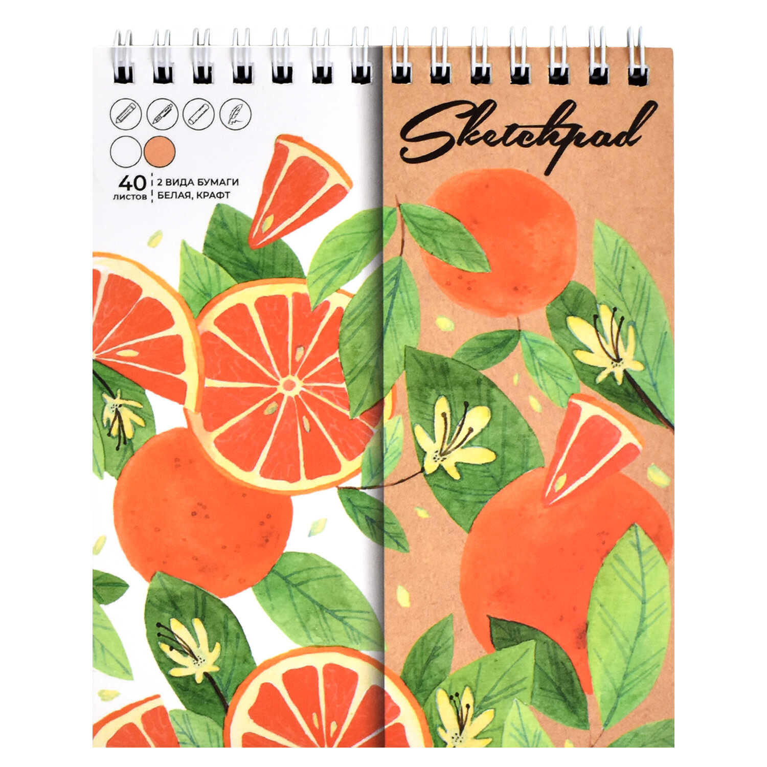 Скетчбук Феникс + - фото 7