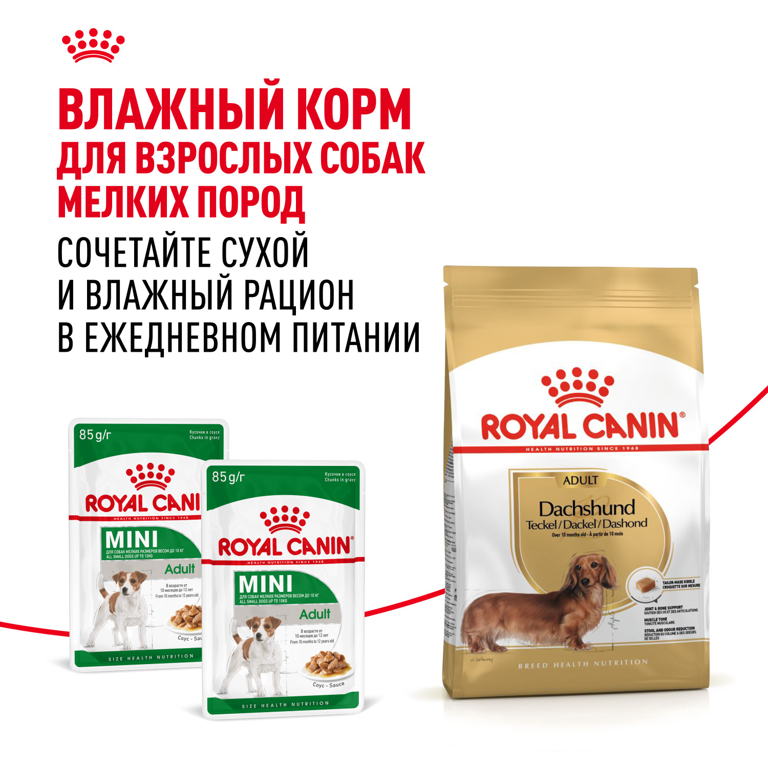 Корм для собак ROYAL CANIN породы такса 7.5кг - фото 8