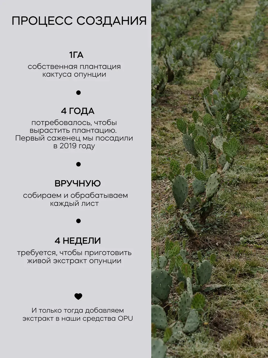 Сыворотка Краснополянская косметика лифтинг с с экстрактом опунции 30 мл 1 шт. - фото 12