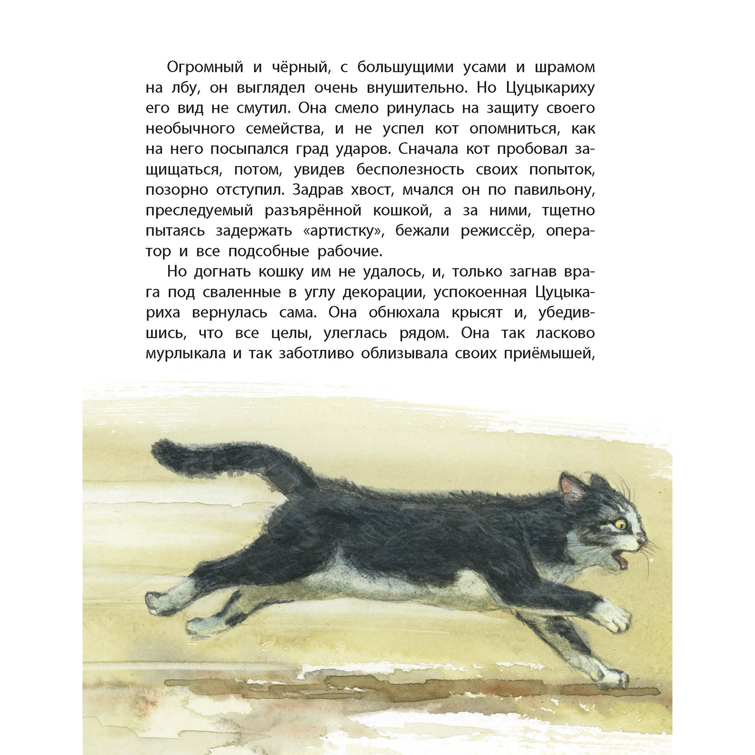 Книга ЭНАС-КНИГА Обыкновенные кошки - фото 9
