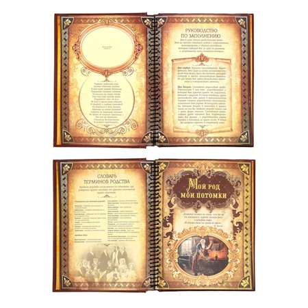 Родословная книга Sima-Land «История семьи» 30 листов 24.5 х 29.2 см