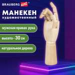 Манекен Brauberg
