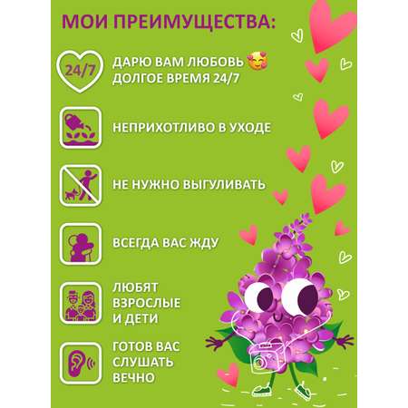 Набор для выращивания Blabar