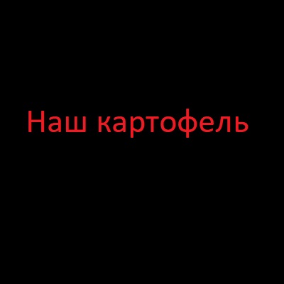 Наш картофель