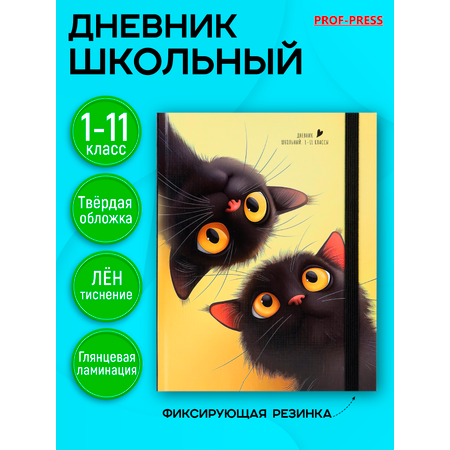Дневник школьный Prof-Press 40 листов