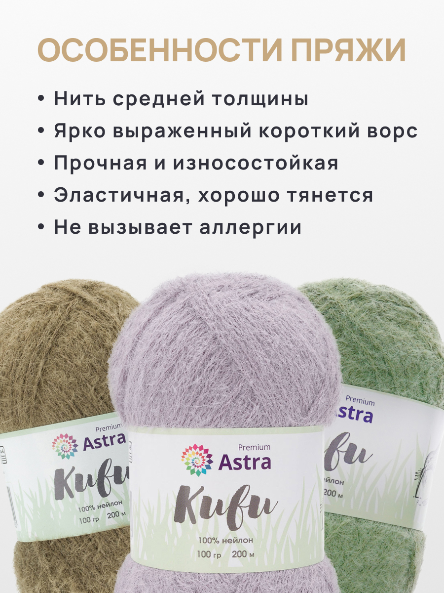 Пряжа для вязания Astra Premium 100г 200м 3шт - фото 3