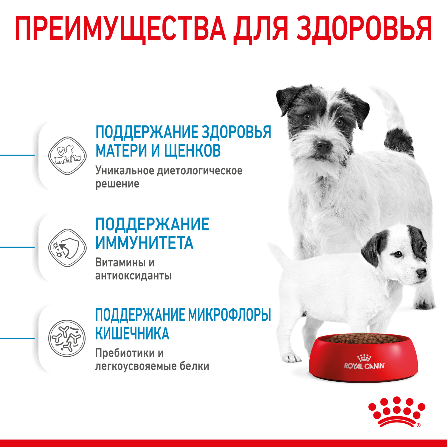 Корм для щенков ROYAL CANIN Starter мелких пород 3кг - фото 6
