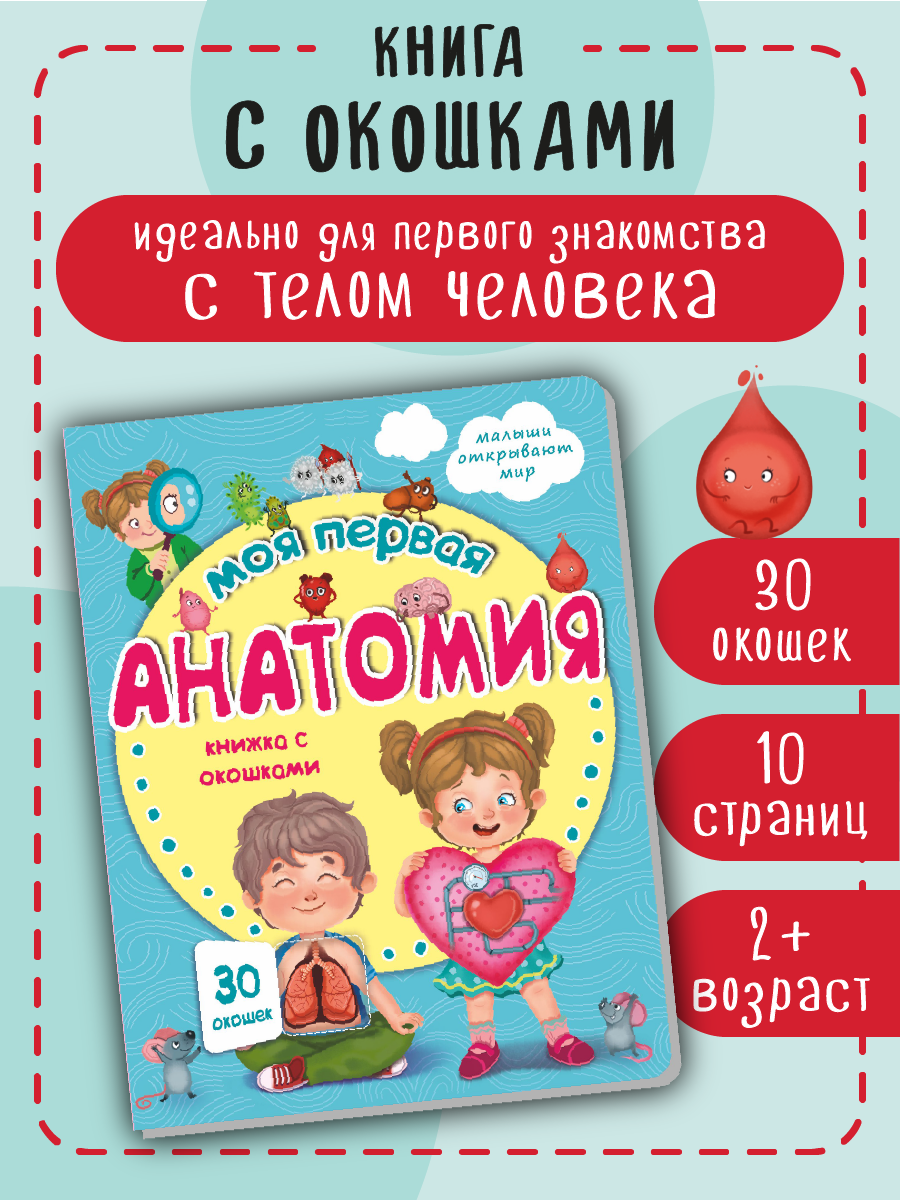 Книжка для малышей BimBiMon с окошками. Моя первая анатомия Виммельбух - фото 2
