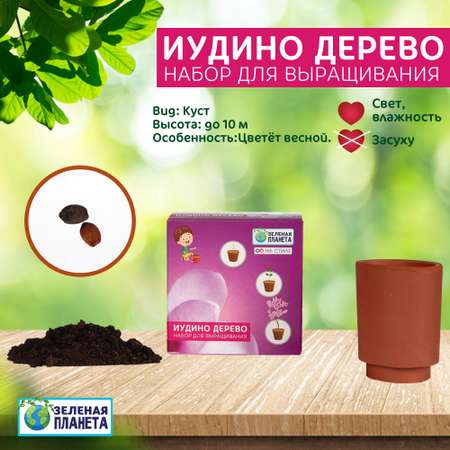 Набор для выращивания ЗЕЛЕНАЯ ПЛАНЕТА