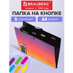 Папка-органайзер Brauberg желто-розовый градиент А4