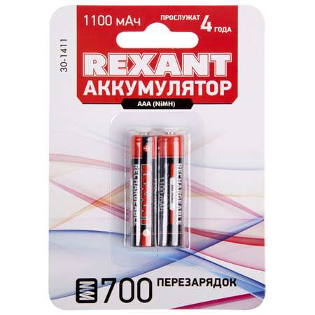 Аккумуляторы REXANT мизинчиковые 1100 мАч тип AAА 2 шт