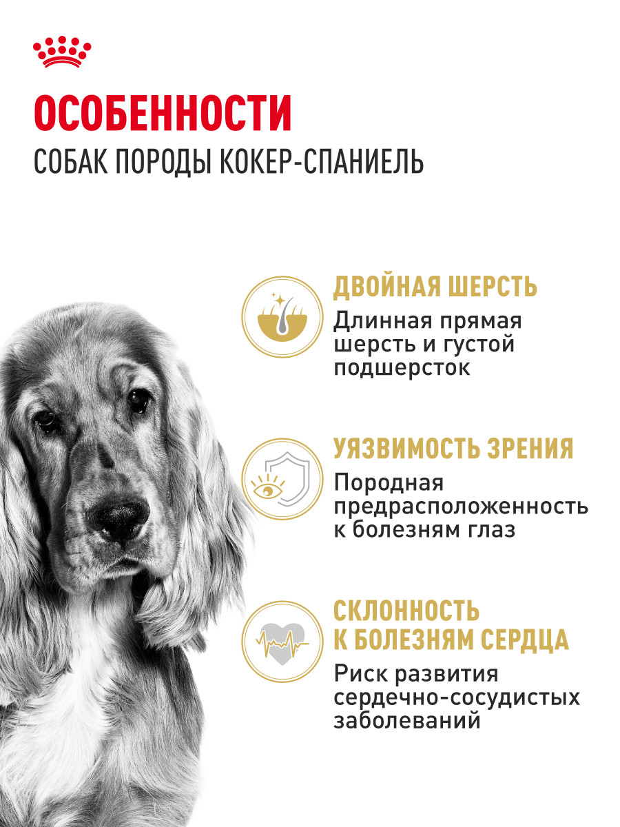 Корм для собак ROYAL CANIN Cocker породы кокер 3кг - фото 2