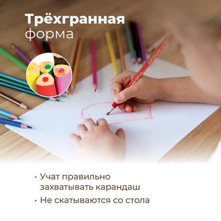 Карандаши цветные Красин 24 шт.
