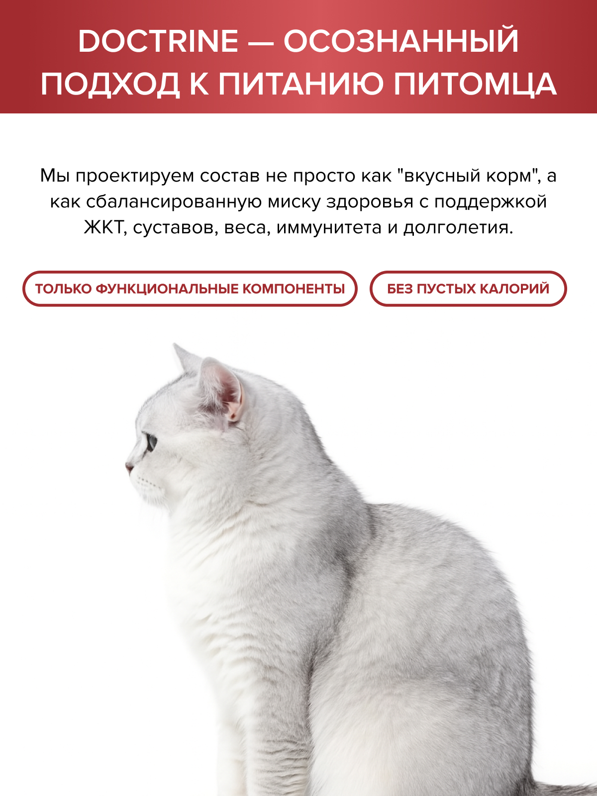 Корм для кошек DOCTRINE сухой с индейкой ягненком и рисом 10 кг - фото 10