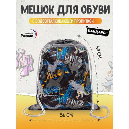 Мешок для обуви ПАНДАРОГ