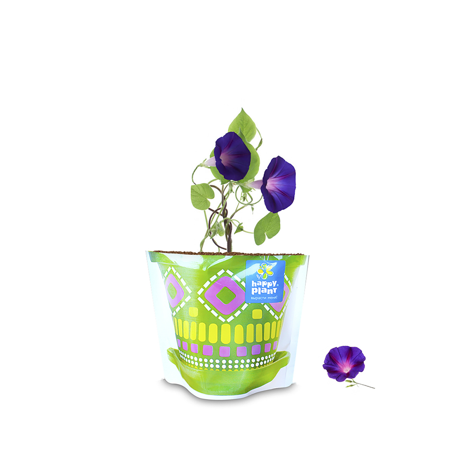 Набор для выращивания Happy Plant - фото 3