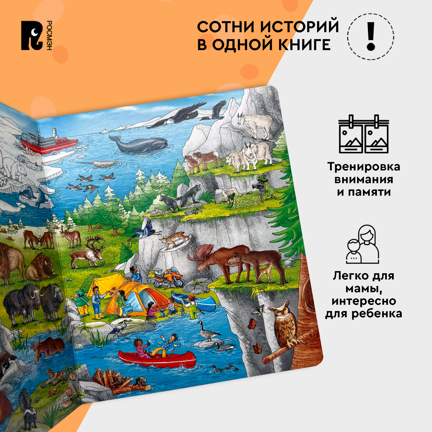 Книга Жизнь животных Виммельбух - фото 3