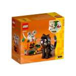 Конструктор LEGO Seasonal 40570 328 дет.