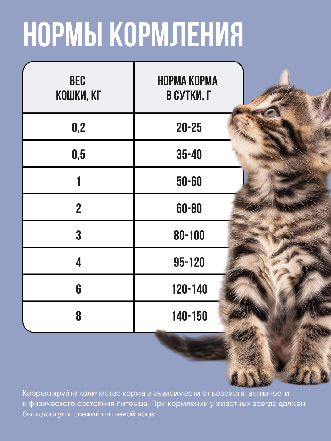 Корм сухой полнорационный BOWL WOW для котят с индейкой, курицей и черникой 400г - фото 5