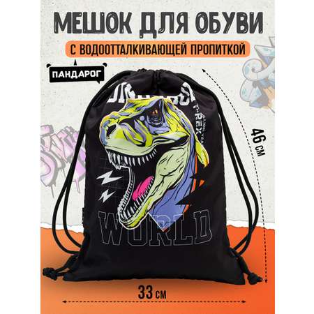 Мешок для обуви ПАНДАРОГ