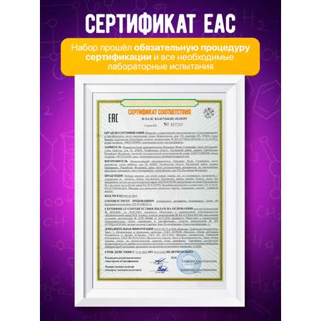 Набор для опытов Наукасити