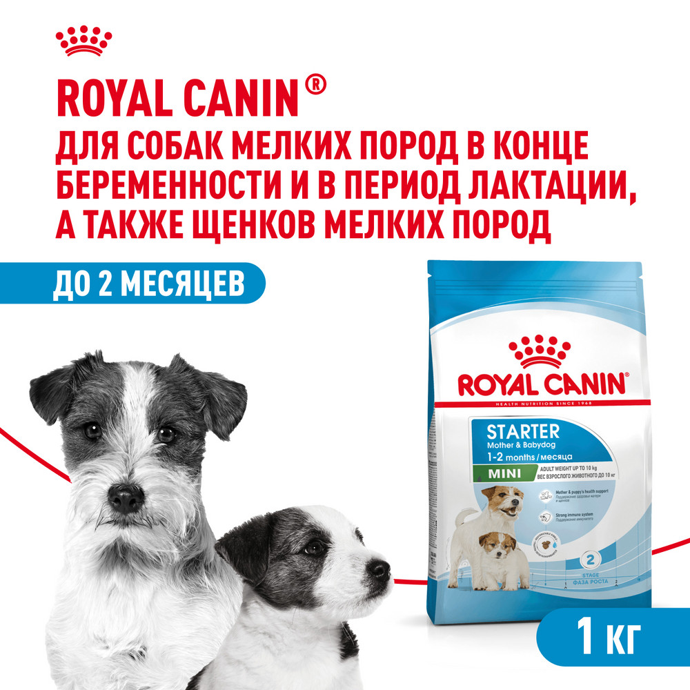 Корм для щенков ROYAL CANIN Starter мелких пород 1кг - фото 1