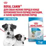 Корм для щенков ROYAL CANIN Starter мелких пород 1кг