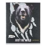 Общая тетрадь Erhaft клетка 48 лист.