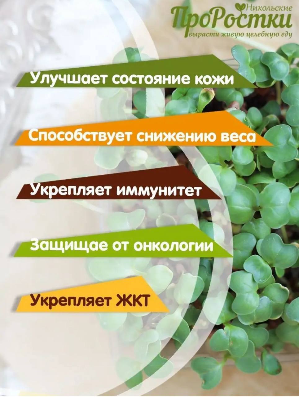 Семена для микрозелени MegaMedia редис - фото 3