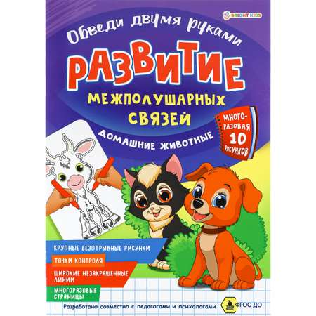 Набор для рисования Bright Kids Развитие полушарий