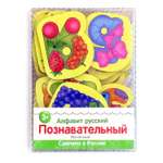 Настольная игра PAREMO