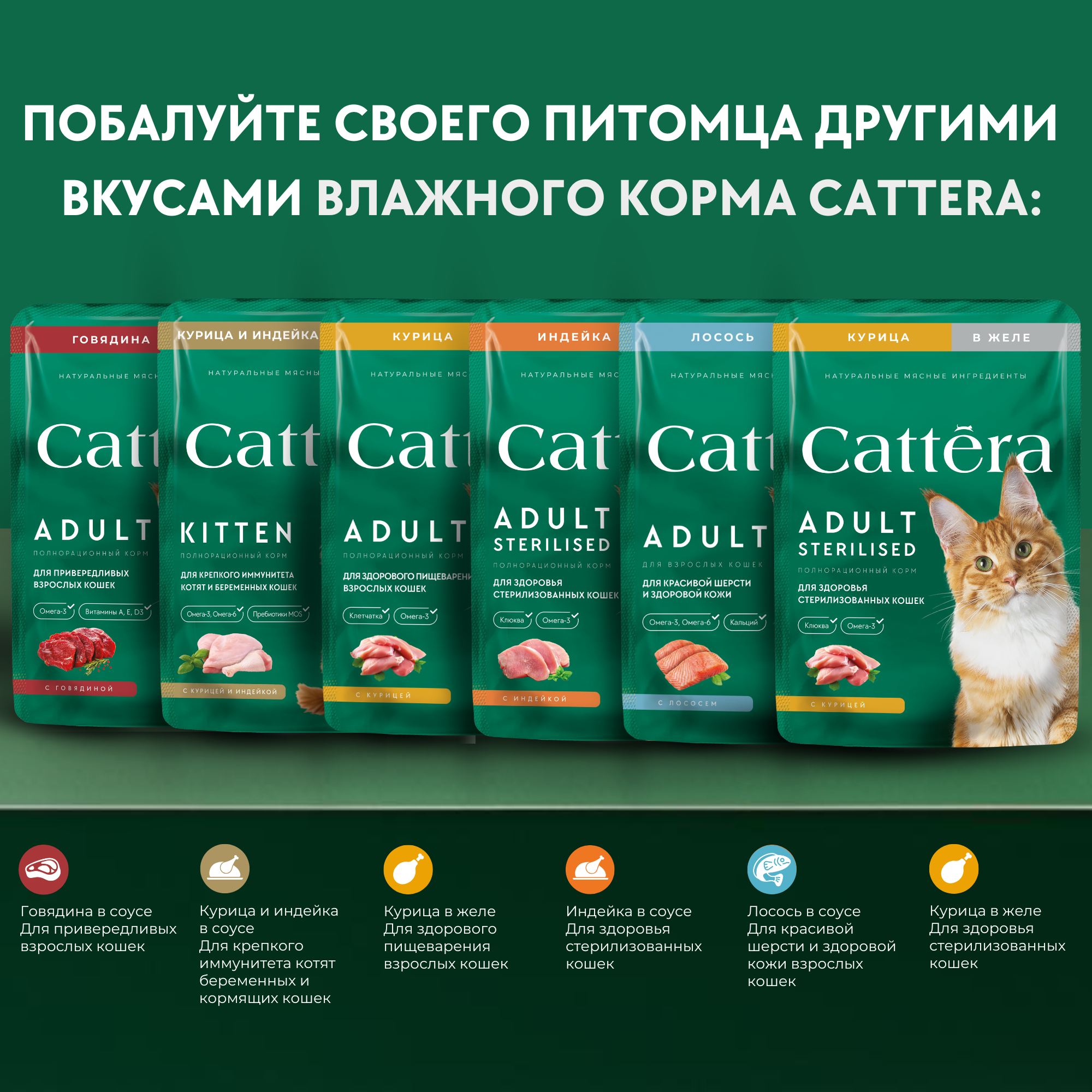 Корм влажный Cattera консервированный полнорационный - фото 9