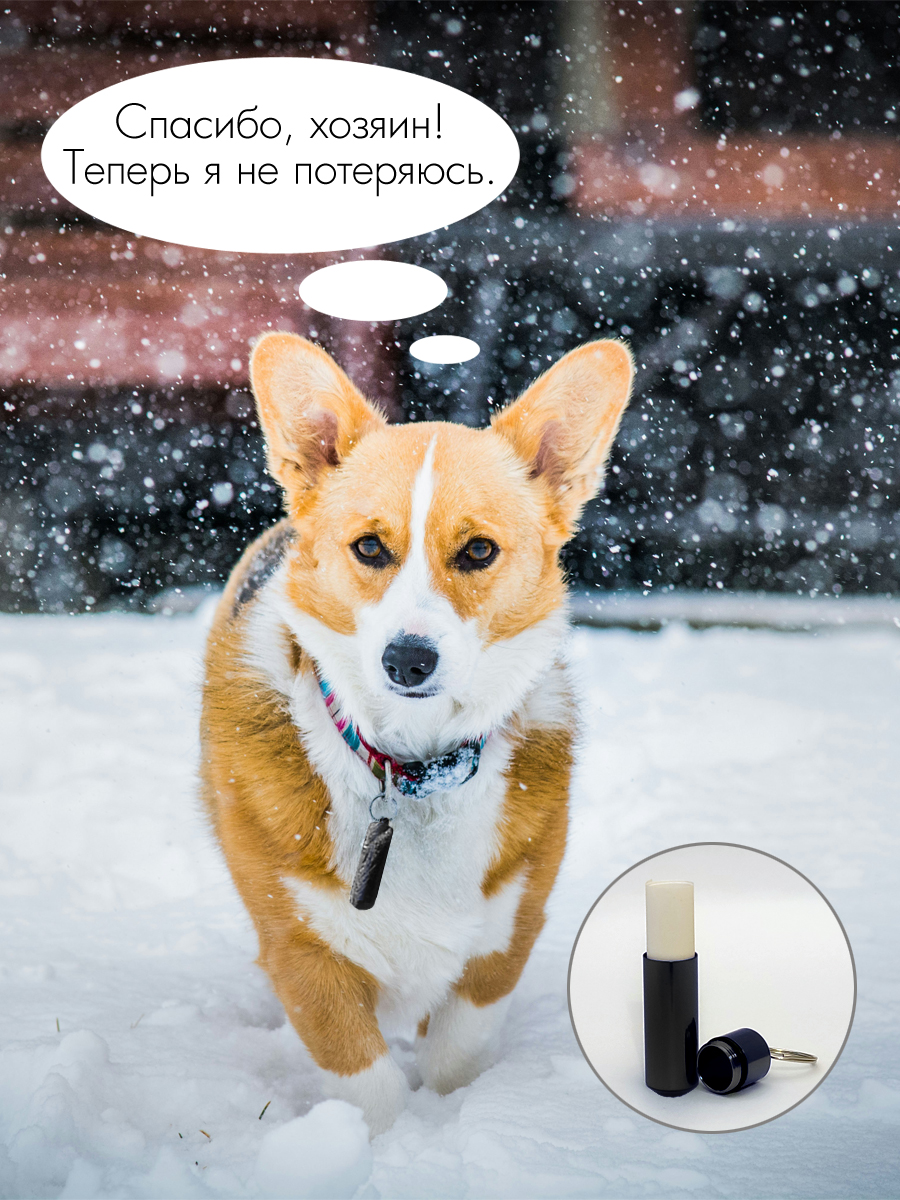 Капсула-брелок Solaris 14мм*52мм Черная - фото 6