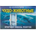 Книга МОЗАИКА kids Сканорама Природа сквозь рентген Чудо-животные