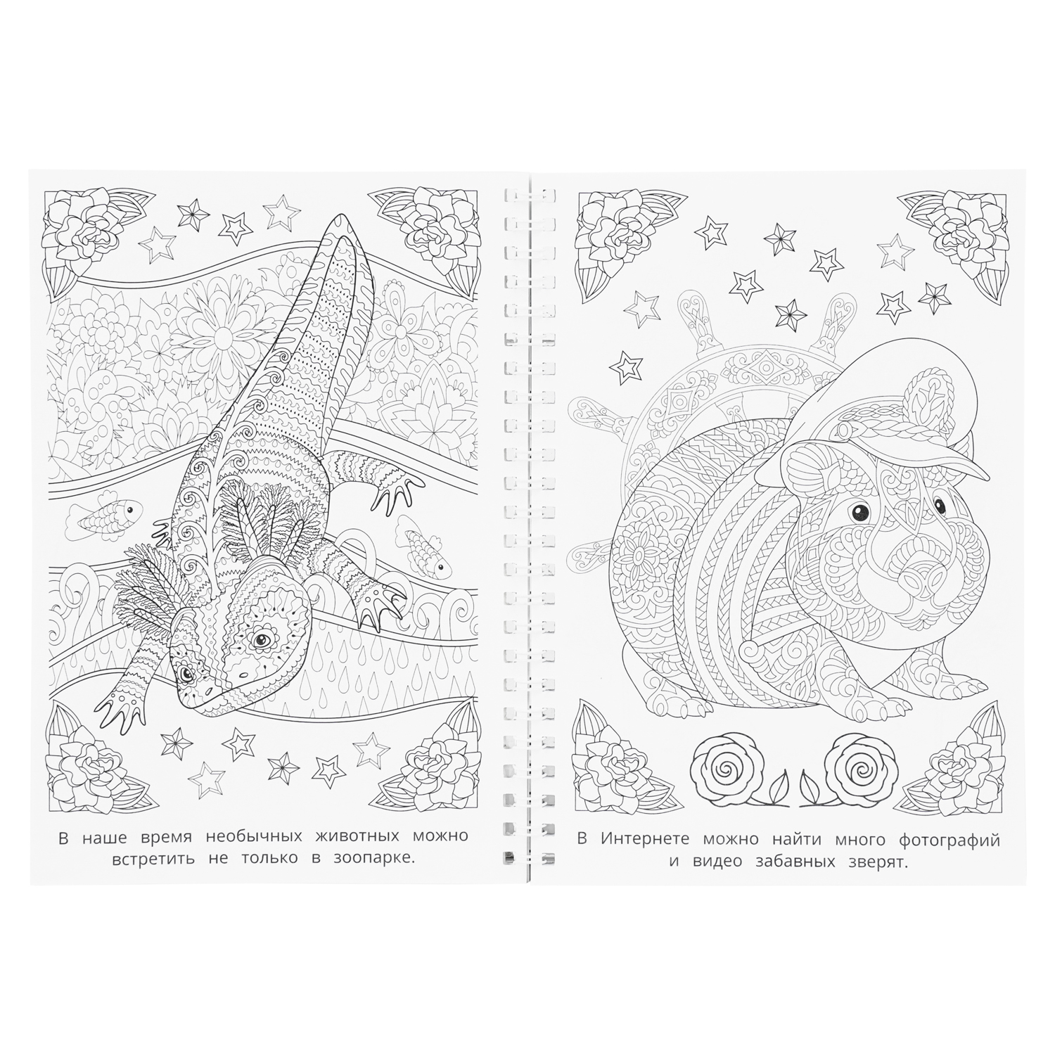 Раскраска антистресс УМка Мир природы - фото 2