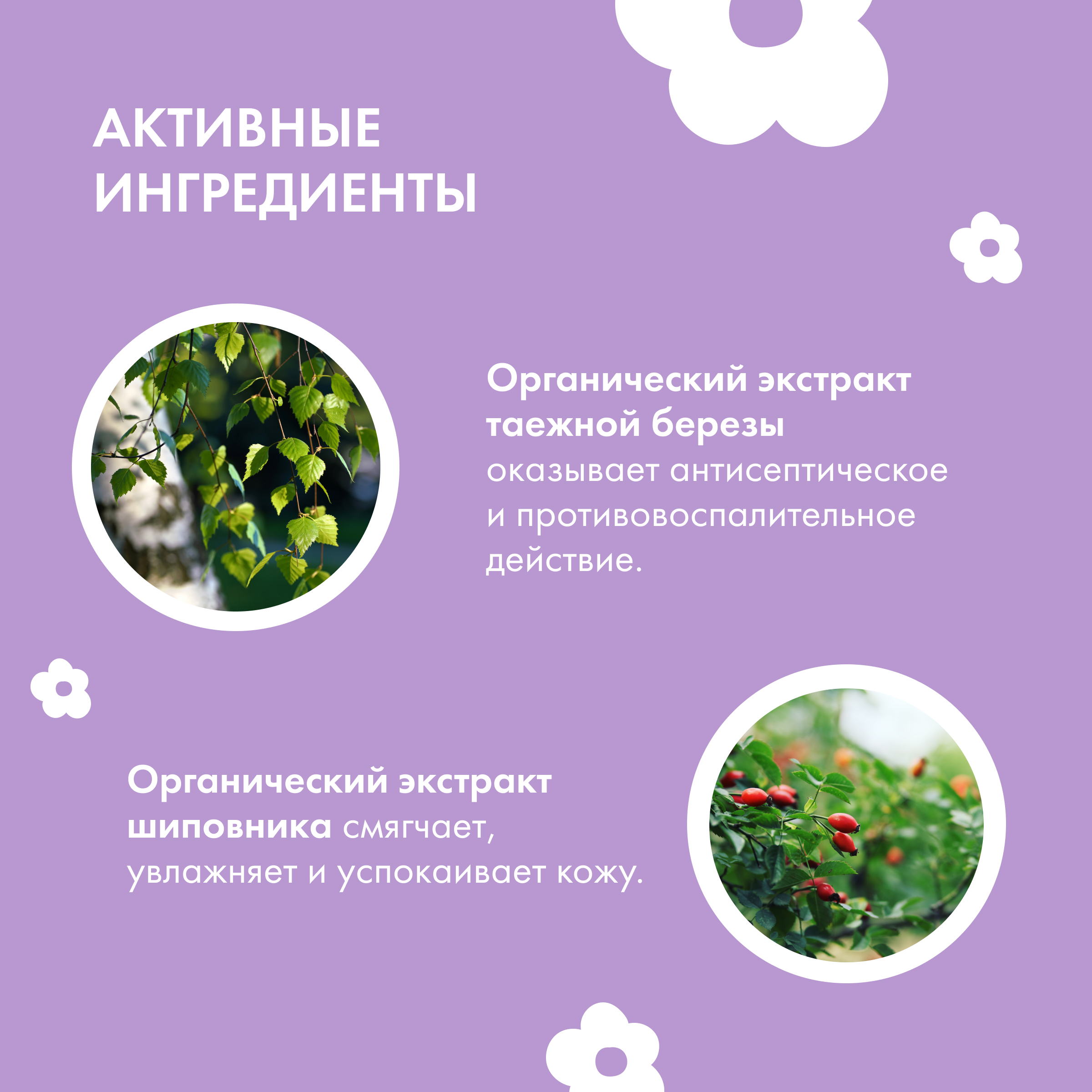 Мыло жидкое Siberica Биберика 500 мл - фото 7