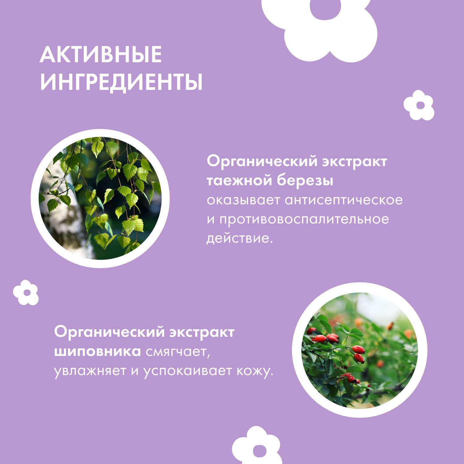 Мыло жидкое Siberica Биберика 500 мл - фото 7
