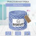 Трикотажная пряжа BISKVIT Alice home