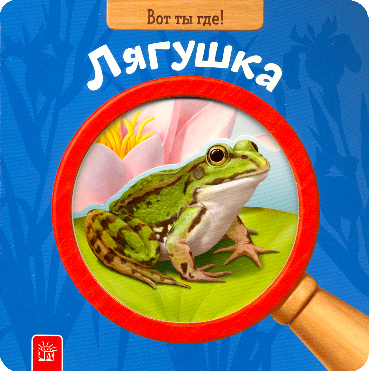 Книга Лабиринт Вот ты где! Лягушка - фото 1