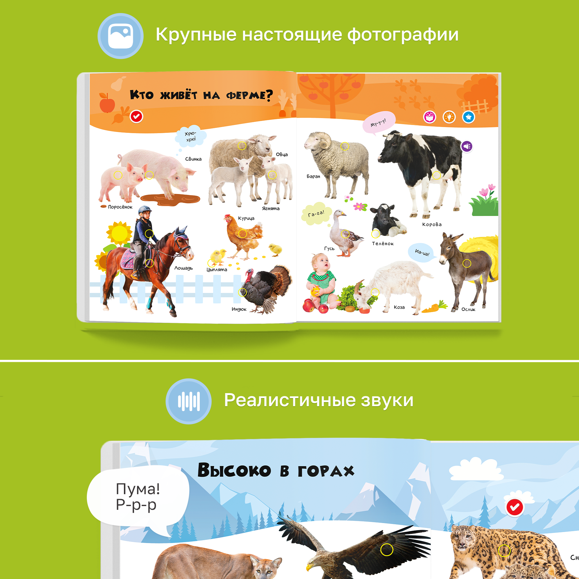 Комплект говорящих книжек BertToys Большие Нажималки: Я и мир вокруг + Животные - фото 10