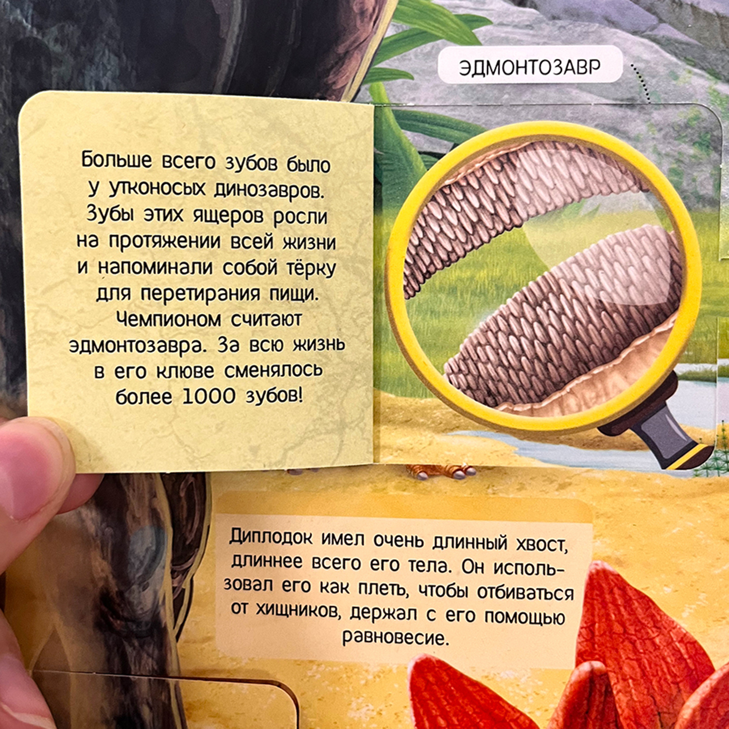 Книга с окошками Malamalama Плакат на стену Динозавры Энциклопедия - фото 4
