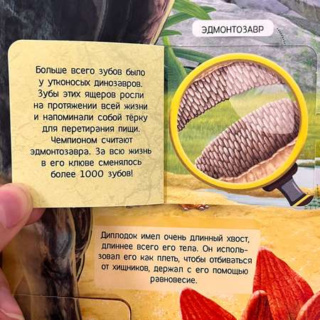 Книга с окошками Malamalama Плакат на стену Динозавры Энциклопедия