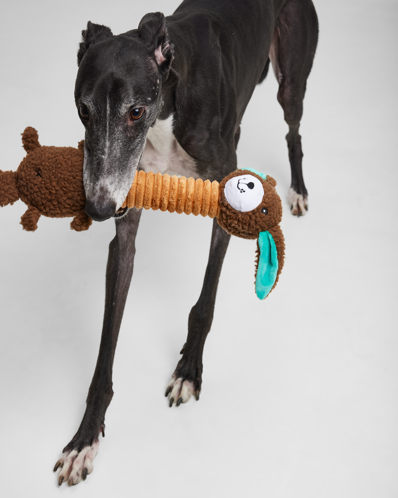 Игрушка для собак Barbaks Заяц-длинношей хрустит шуршит гудит 43см - фото 6