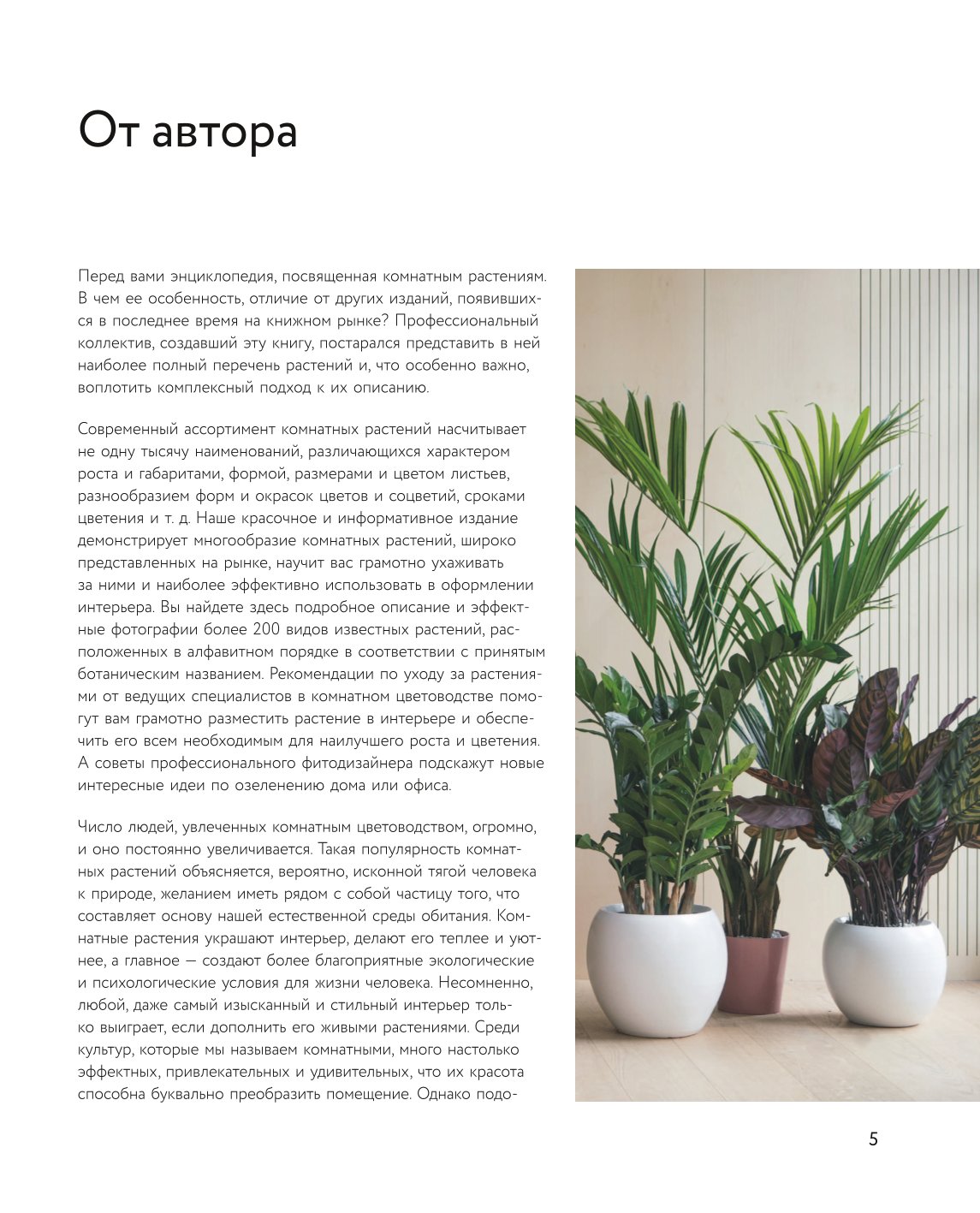Книга ЭКСМО-ПРЕСС Зеленый оазис Комнатные растения от А до Я - фото 2