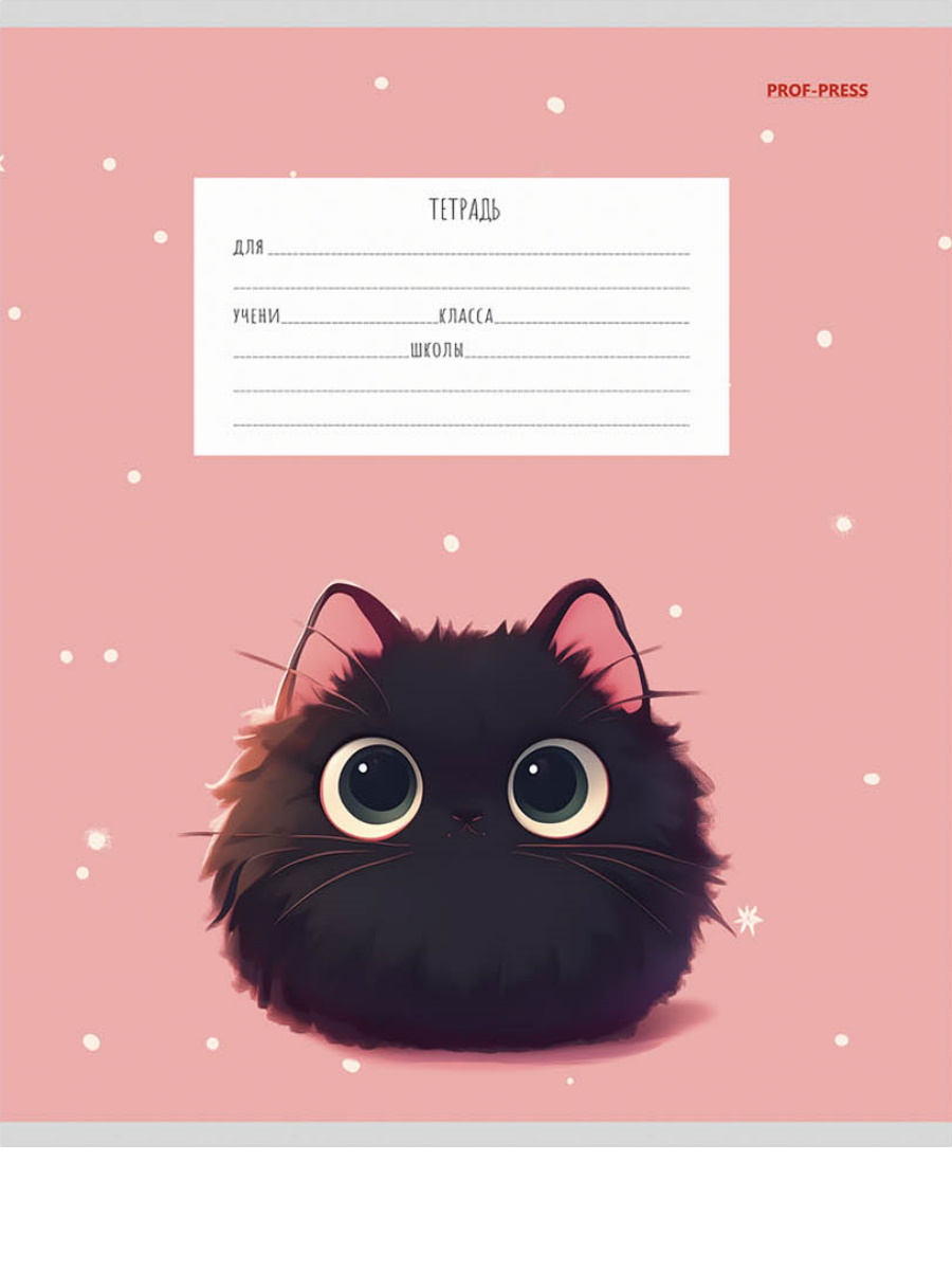 Тетрадь Prof-Press клетка 12 лист. 20 шт. - фото 8