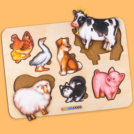 Настольная игра Raduga Kids